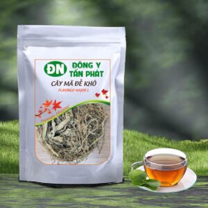 Cây mã đề tại đồng nai