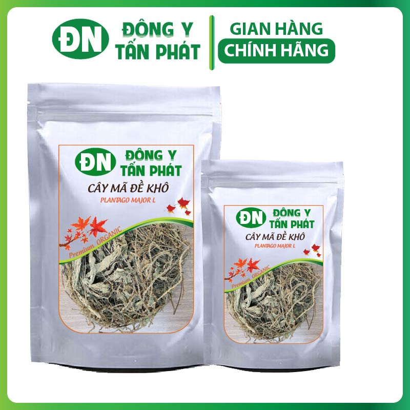 Cây Mã Đề Khô-Đông Y Tấn Phát