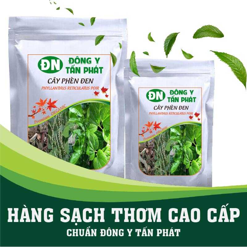 Cây phèn đen-Đông Y Tấn Phát