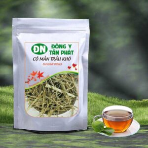 Cỏ Mần Trầu Chất Lượng