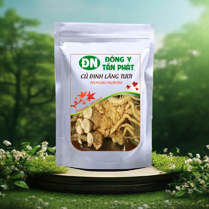 Công Dụng Của Củ Đinh Lăng Tươi