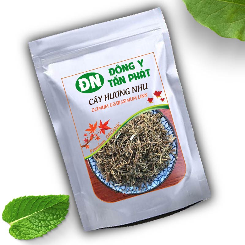 Cây Hương Nhu-Đông Y Tấn Phát