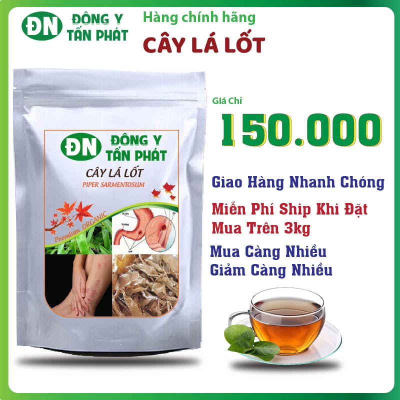 Cây lá lốt tại đồng nai