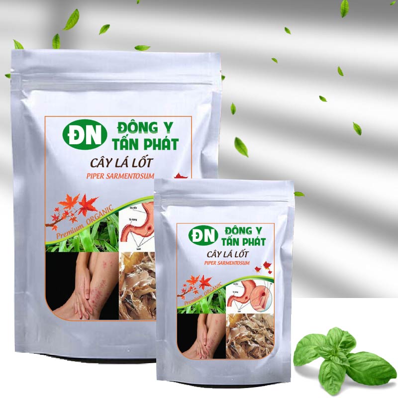 Cây lá lốt-Đông Y Tấn Phát