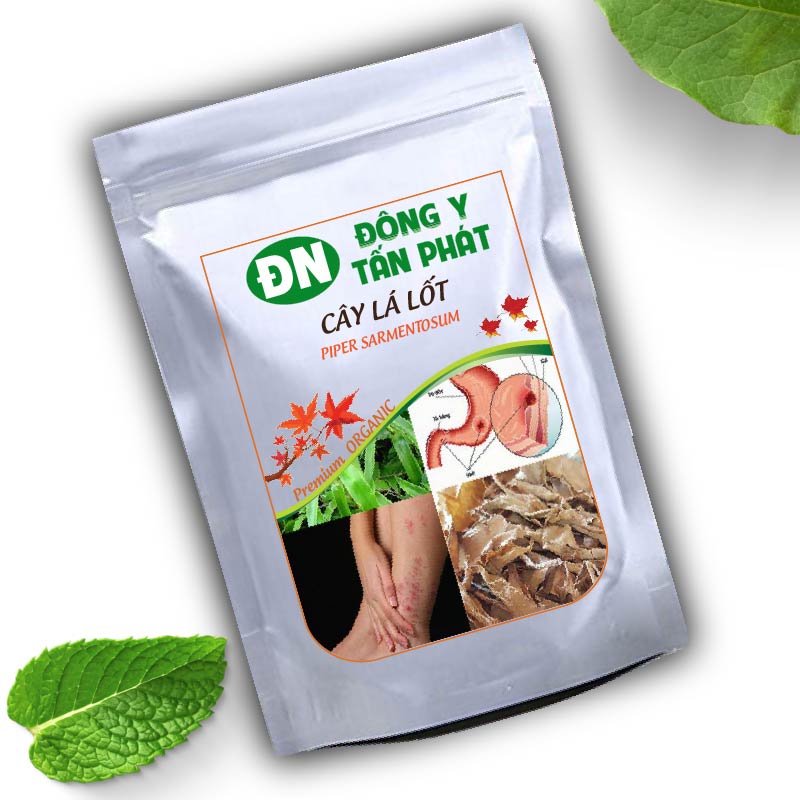Công Dụng Của Cây Lá Lốt