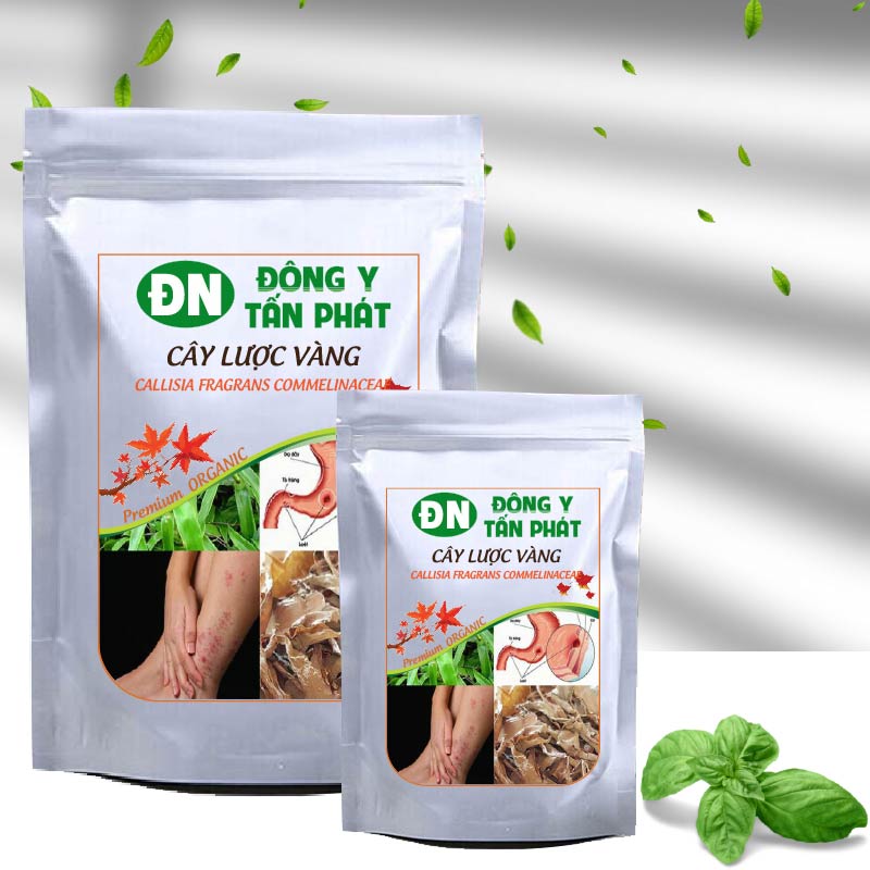 Cây Lược Vàng-Đông Y Tấn Phát