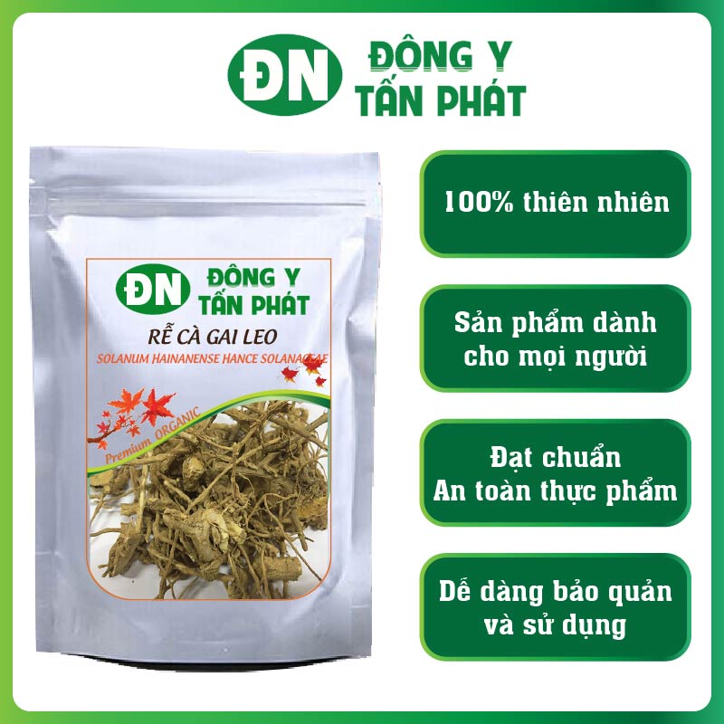 Rễ cà gai leo-Đông Y Tấn Phát