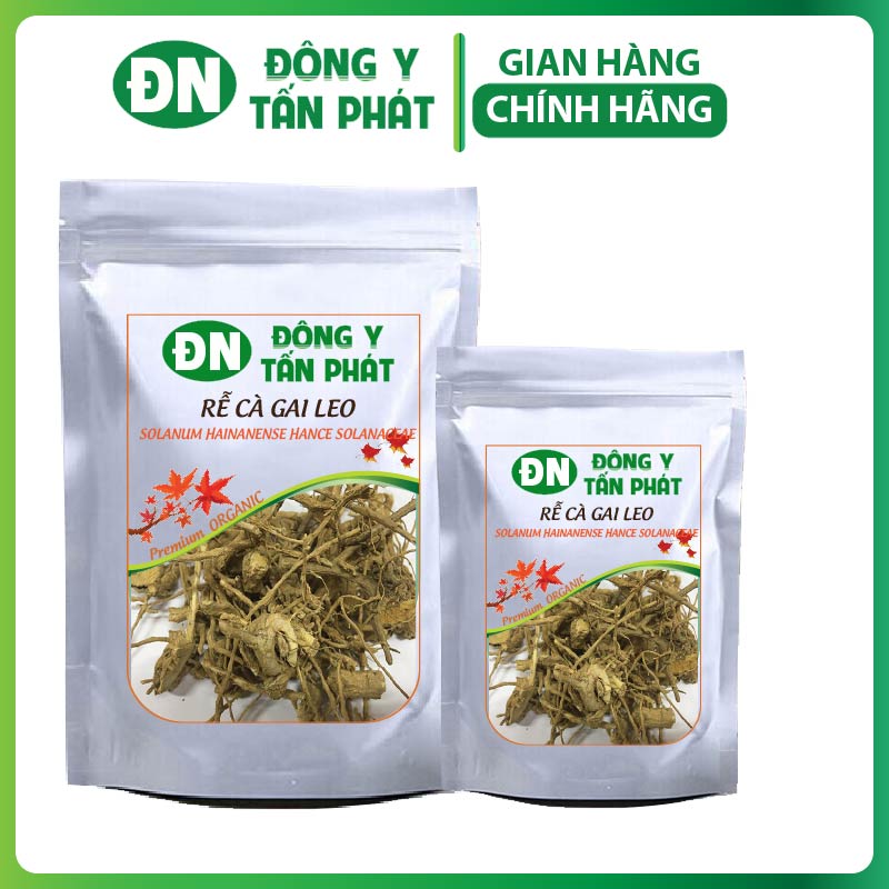 Cách Sử Dụng Rễ Cà Gai Leo Khô Hiệu Quả