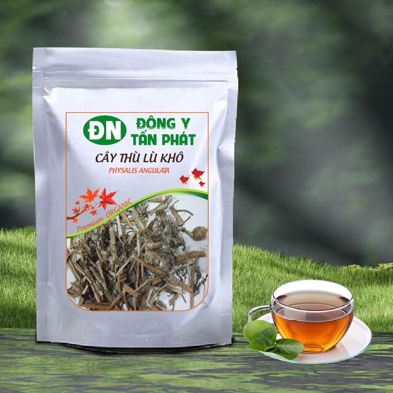 Kết Hợp Cây Thù Lù Với Thảo Dược