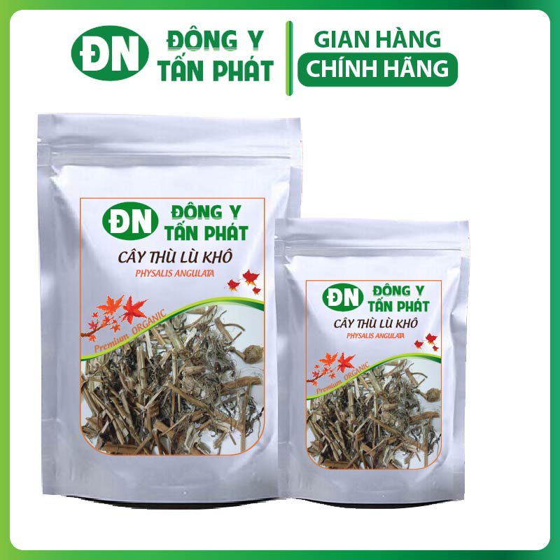 Công dụng của cây thù lù khô