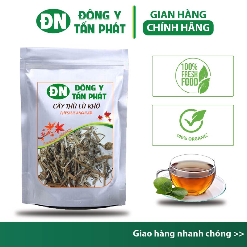 Cây thù lù khô-Đông Y Tấn Phát