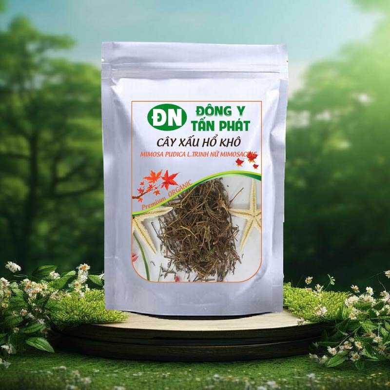 Liều lượng và những lưu ý khi sử dụng cây xấu hổ