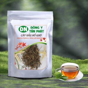 Cây xấu hổ tại đồng nai