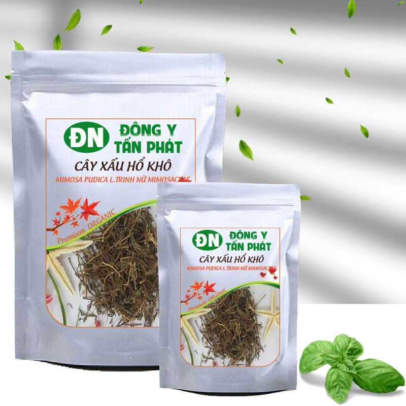 Cây xấu hổ-đông y tấn phát