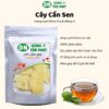 Cây cần sen giá tốt