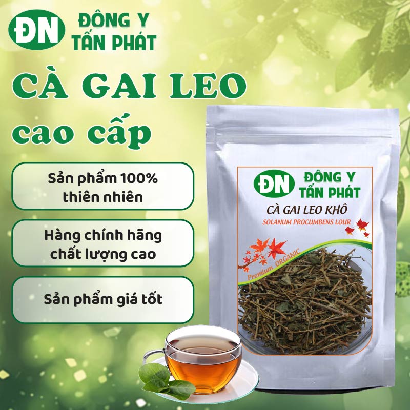 Công Dụng Của Cà Gai Leo Khô