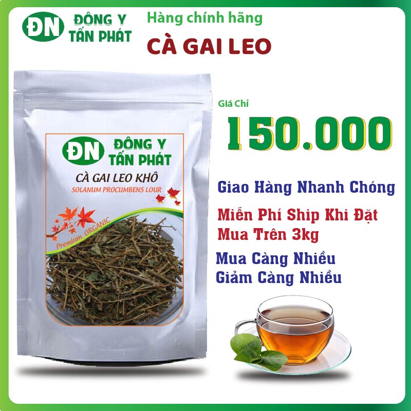 Giá Bán Cà Gai Leo Khô Tại Đồng Nai