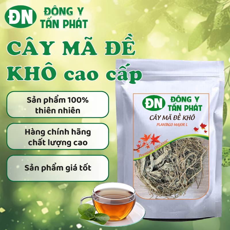 Công Dụng Của Mã Đề Khô