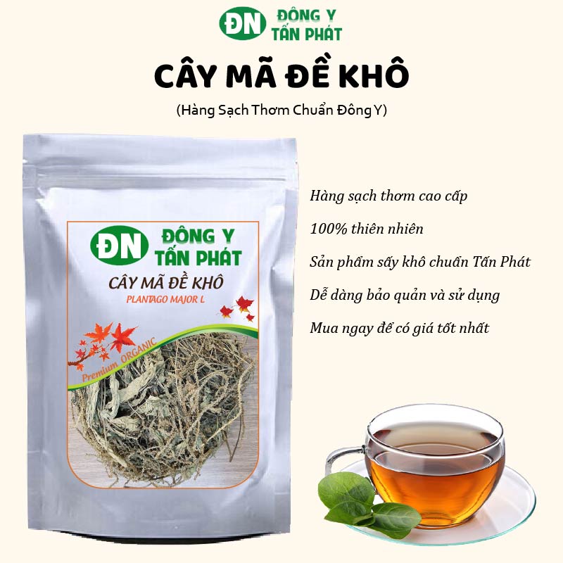 Mã Đề Khô-Đông Y Tấn Phát