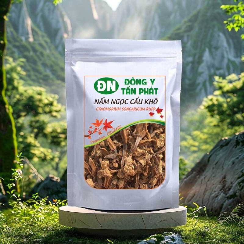Công Dụng Của Nấm Ngọc Cẩu Khô