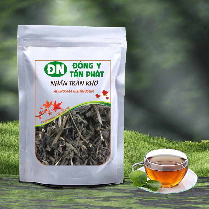 Công Dụng Của Nhân Trần Khô
