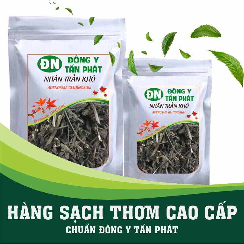 Nhân Trần Khô-Đông Y Tấn Phát