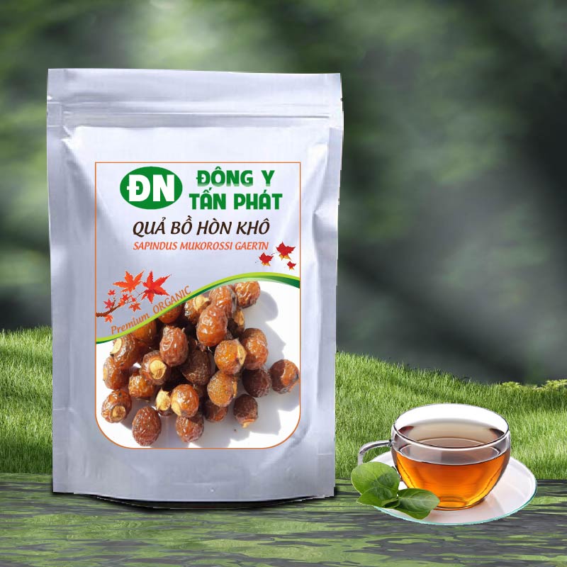 Quả Bồ Hòn Khô-Đông Y Tấn Phát