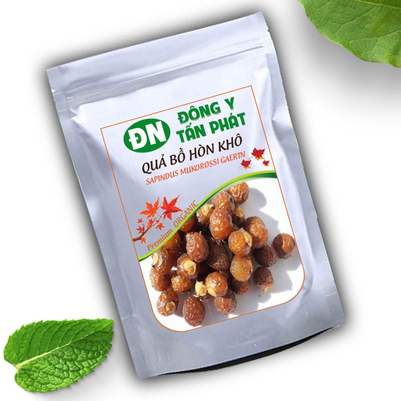 Địa Chỉ Bán Quả Bồ Hòn Khô Tại Đồng Nai