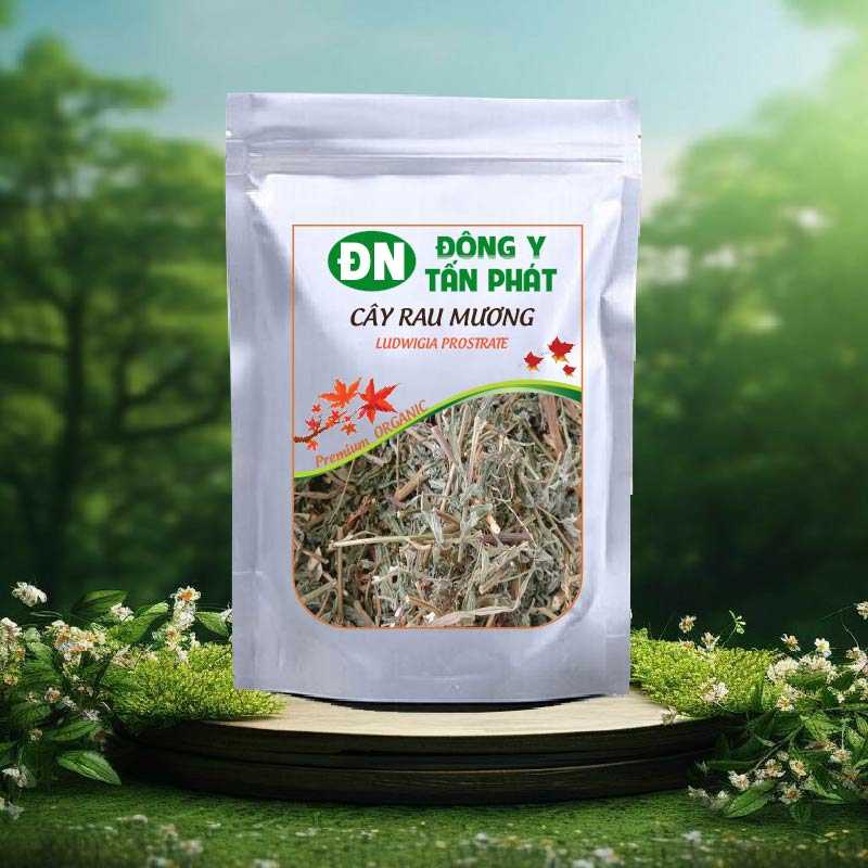 Cây Rau Mương-Đông Y Tấn Phát