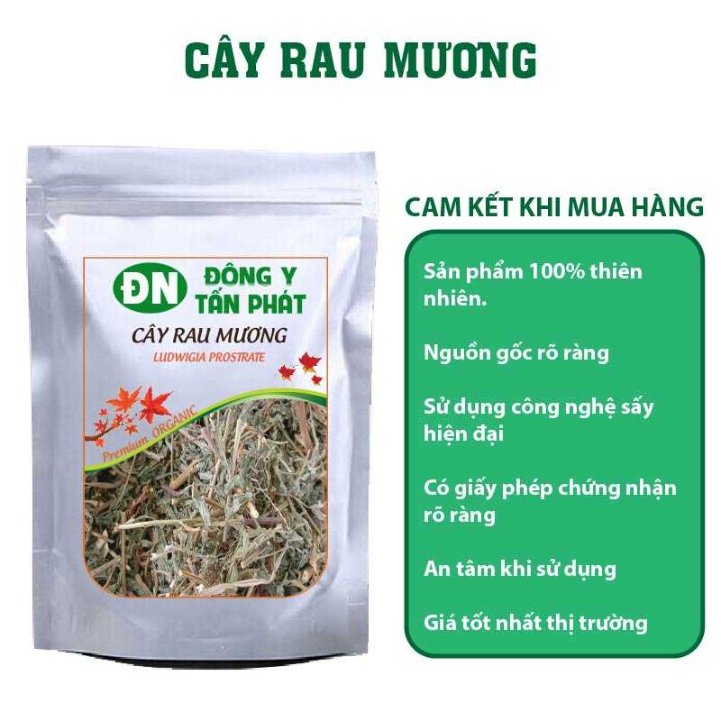 Cây Rau Mương Khô-Đông Y Tấn Phát