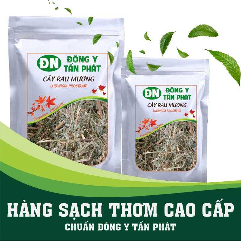 Cây Rau Mương Khô