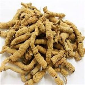 Sơ chế ba kích tím tách lõi rửa sạch trước khi ngâm rượu