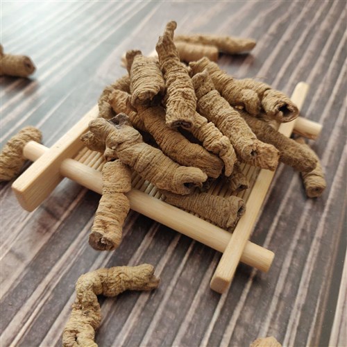 Ba kích tím ngâm rượu Ba kích tím khô dùng để ngâm rượu tại Đồng Nai