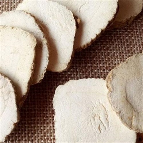 Củ bạch chỉ khô Đông Y Tấn Phát Biên Hòa Đồng Nai