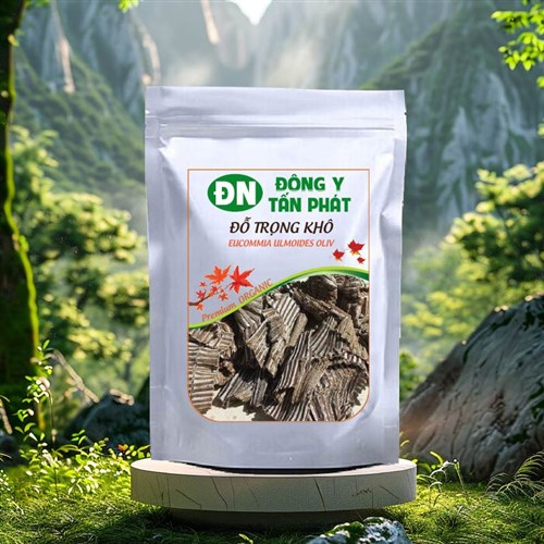 Cách ngâm rượu đỗ trọng khô