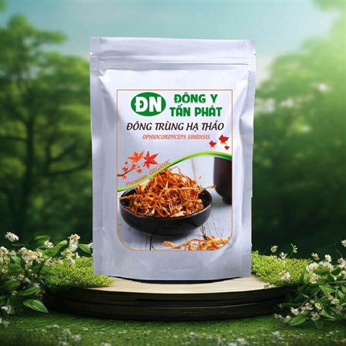 Đông trùng hạ thảo khô nguyên chất Đông Y Tấn Phát Biên Hòa