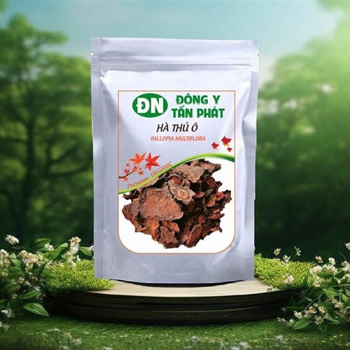 Hà thủ ô khô Đông Y Tấn Phát Biên Hòa Đồng Nai
