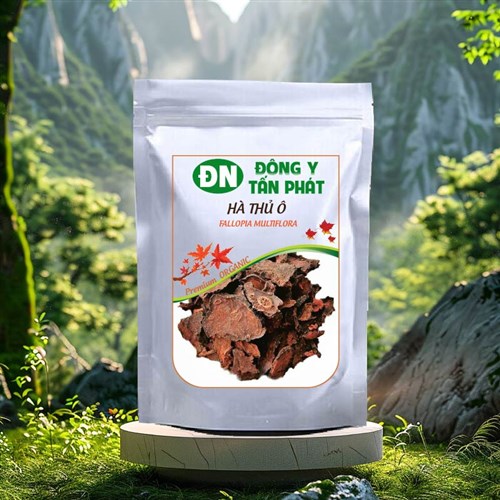 Cách ngâm rượu hà thủ ô khô