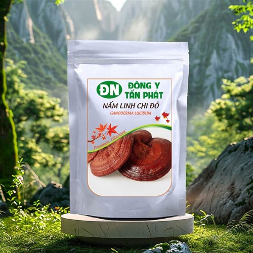 Cách nấu nước nấm linh chi đỏ
