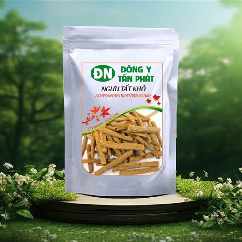 Ngưu tất khô Đông Y Tấn Phát Biên Hòa Đồng Nai