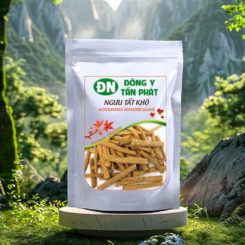 Cách ngâm rượu ngưu tất khô