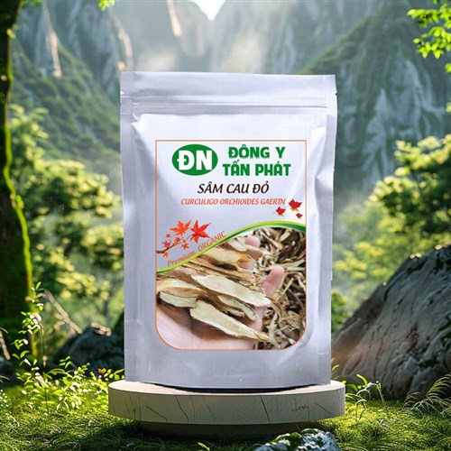 Cách ngâm rượu sâm cau đỏ khô