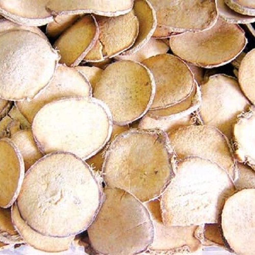 Trạch tả mã đề nước khô nguyên liệu Đông Y Tấn Phát