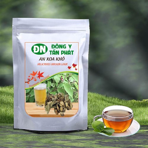Trải nghiệm chọn mua cây an xoa khô