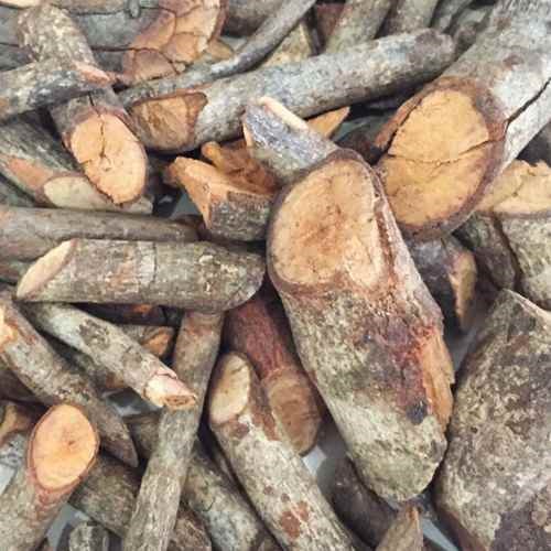 Cây Tơm Trọng khô nguyên liệu trước khi thái lát sấy khô