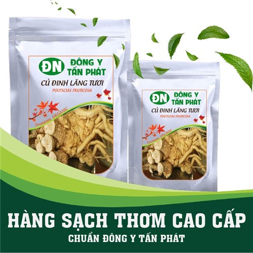 Giá củ đinh lăng tươi tại Đông Y Tấn Phát