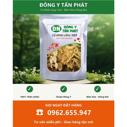 Đặt mua củ đinh lăng tươi tại Biên Hòa Đồng Nai