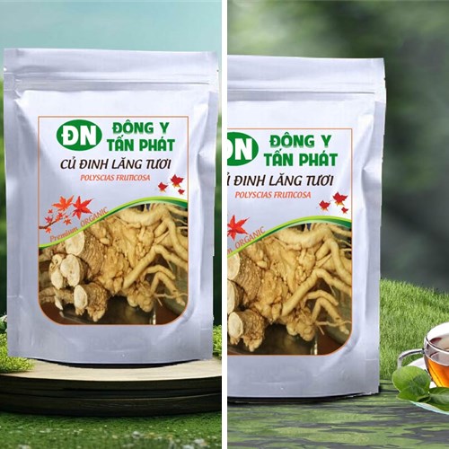 Củ đinh lăng tươi tại Đông Y Tấn Phát Biên Hòa