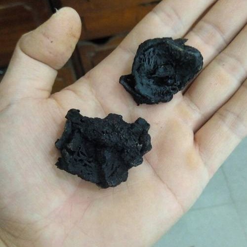 Củ hoàng tinh khô nguyên liệu Đông Y Tấn Phát