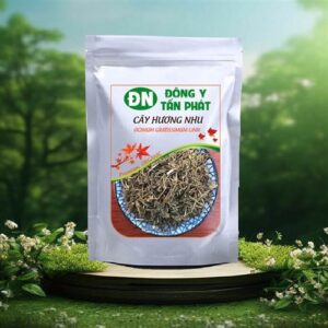 Giá cây hương nhu khô Đông Y Tấn Phát Biên Hòa Đồng Nai